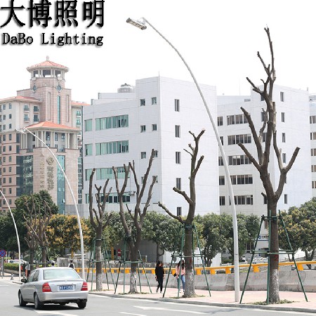 自彎臂市電LED路燈一次成型農村道路燈公路亮化工程照明廠家批發(fā)